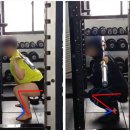 [동래 사직동 헬스] 하이바 스쿼트 vs 로우바 스쿼트, 어떤게 맞을까?