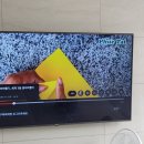 종이비행기 | 부산 북항 종이비행기 대회 2025 참가 후기(ft. 국가대표 위플레이)