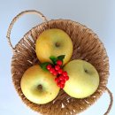 쭈니푸드 이미지