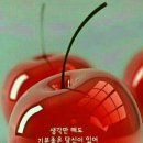안경총각 네이버블로그