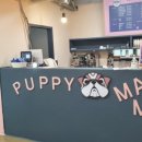 퍼피마마 이미지