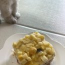 망고네 까까 이미지