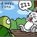 토끼와거북이 이미지