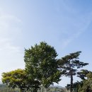 매원1리마을회관 이미지