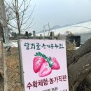 달뫼골유기농농원 이미지