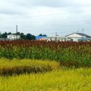 오산수협앞 이미지