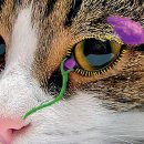 동물병원 이야기 이미지