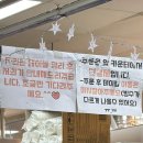 서문시장역(3호선) | 대구 서문시장 서문빙수 방문 후기 (망고빙수·팥빙수 정보 정리)
