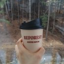 레포레스트(REFOREST) 이미지