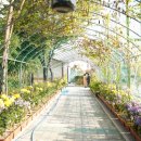 서울명신초등학교 이미지