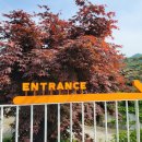 브루다 양주 이미지