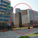 나성동_명동프라자앞BRT 이미지