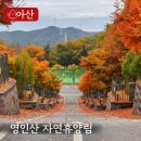 송화로19번길 26-3 | 아산 가볼만한곳 가족과 함께한 영인산자연휴양림 야영 후기