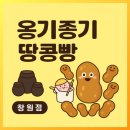 옹기종기 | 창원상남동 땅콩빵 옹기종기 약땅콩 간식 내돈내산 후기