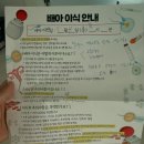 신일 사우나 | [시험관 이식 당일] 신선배아이식 3일배아이식 이식후주의사항 주사 비용 방법 이식후기