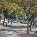 천국은불타고있다 이미지