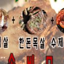 로뎀푸드 - 아산시 | 로뎀푸드