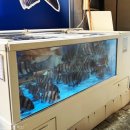 전라남도대학교 국동캠퍼스 (앞) 이미지