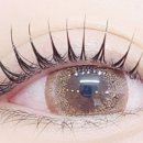 감삼동348 이미지