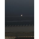 시영