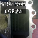 전진모터스 이미지