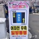 버스터미널 로타리  읍사무소 | 2026 진해 군항제 여좌천·경화역 벚꽃 후기: 평일 꿀팁·개화 현황