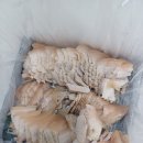 1급다이렉트정비(주) 이미지