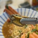 오마이홍게 이미지