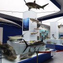 오시리아역 이미지