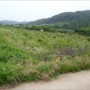 효선보건진료소 이미지