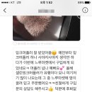 딥블루레이크 이미지