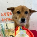 신당애견프라자