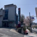 촌닭산오리 네이버블로그