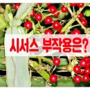 밀성가스 이미지
