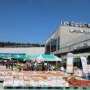 태안군로컬푸드직매장 이미지