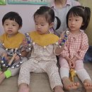 🎼 6센스 데이🎵 이미지