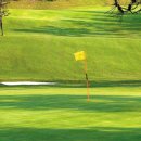 중앙골프 이미지