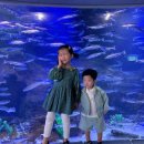 화진포 생태박물관 | 비 오는 날 강원도 아이와 가볼만한 곳, 화진포 해양박물관 솔직 후기