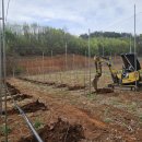 미니미니호계 이미지