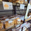 선물같은오늘 용암점 | 가성비 동네 빵집 수제 베이커리 청주 용암동 선물같은오늘