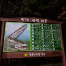 오색로뎀나무아래 이미지