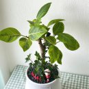 병암동행정복지센터 이미지