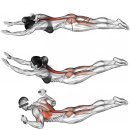 머슬뱅크짐 이미지