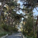 금시당 공용화장실 이미지