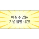레디앙마카롱