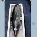 유진회집 이미지