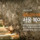 능안길 Daum카페