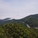 일출물산 이미지