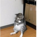 우리정형외과 이미지