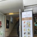 트로피크 이미지